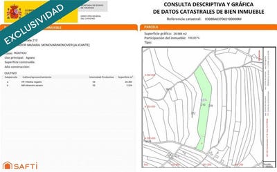 /international/es/monovar-valencian-community-310105746034/