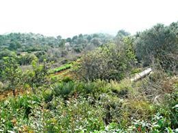 /international/es/el-moral-region-of-murcia-120061112665/