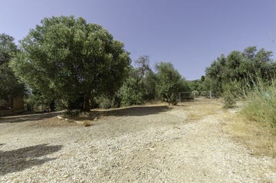/international/es/malaga-andalusia-310100910974/