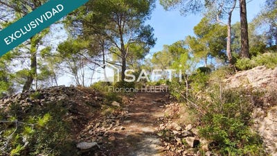 /international/es/cervello-catalonia-310107290779/