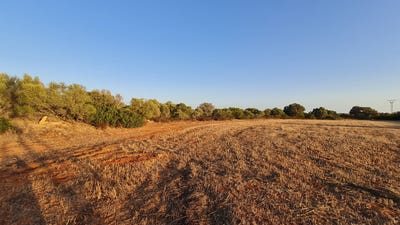 /international/es/415-vial-camino-santanyi-balearic-islands-310101732538/