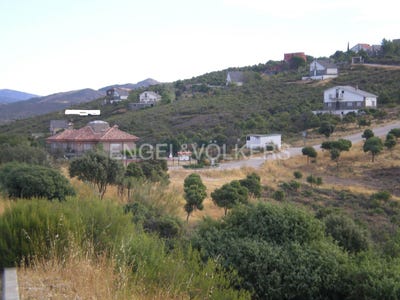 /international/es/torremocha-de-jarama-madrid-310100644119/