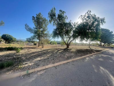 /international/es/ubeda-valencian-community-310106415632/