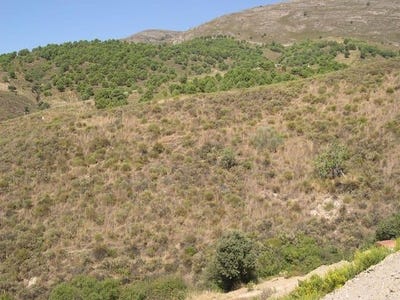 /international/es/sedella-andalusia-310100739423/