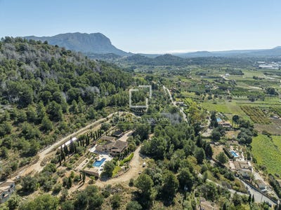 /international/es/pedreguer-valencian-community-310107650383/