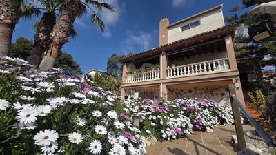 /international/es/bellvei-catalonia-310107295474/