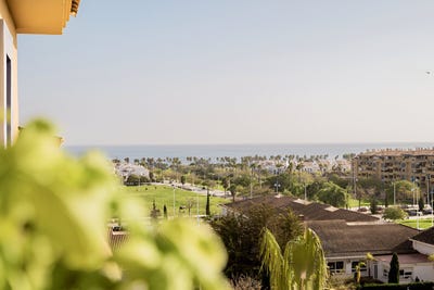 /international/es/san-pedro-andalusia-310109840574/