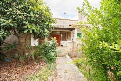 /international/es/petra-balearic-islands-310094695118/