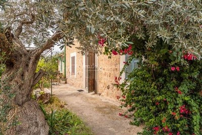 /international/es/soller-balearic-islands-120097718643/