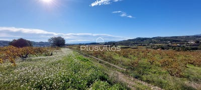 /international/es/teulada-valencian-community-120096535806/