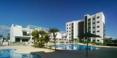 /international/es/mil-palmeras-valencian-community-310105790229/