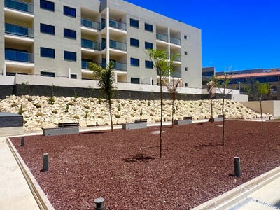 /international/es/el-medano-canary-islands-310108632751/