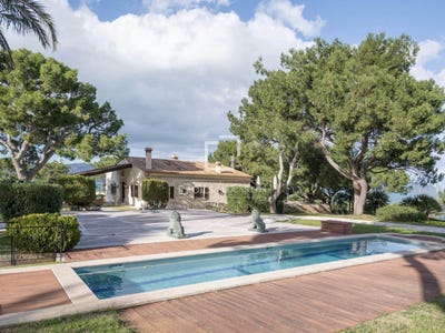/international/es/alcudia-andalusia-310105689803/