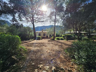 /international/es/cami-del-pou-parcent-valencian-community-310107914600/