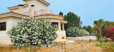 /international/es/pinoso-valencian-community-310108928264/