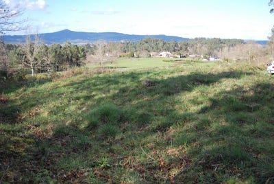 /international/es/estrada-galicia-310101277461/?lang=id