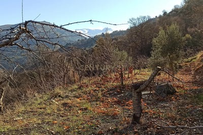 /international/es/guejar-sierra-andalusia-310103537109/