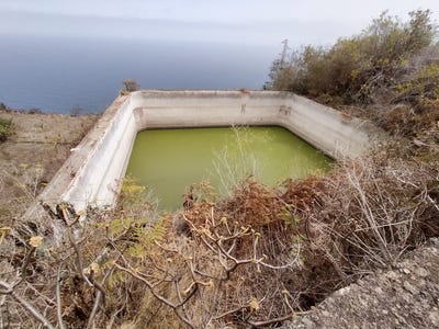 /international/es/c-de-el-lance-de-la-padilla-genoves-canary-islands-310104982530/