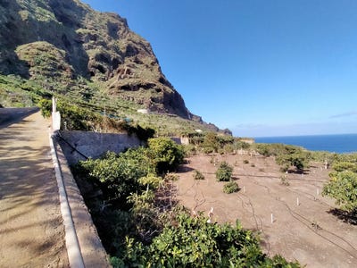 /international/es/calle-lomo-s-a-d-136-38480-santa-cruz-de-tenerife-spain-buenavista-del-norte-canary-islands-310105967969/