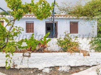 /international/es/canillas-de-aceituno-andalusia-310105169701/