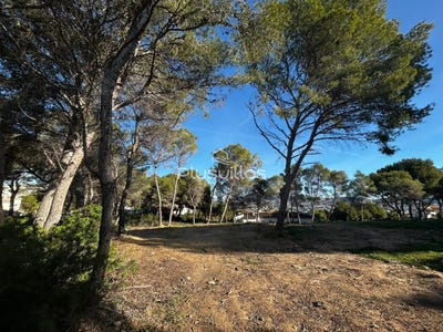 /international/es/moraira-valencian-community-310104337590/