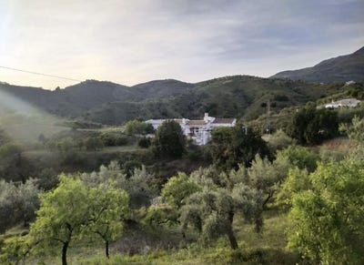 /international/es/sedella-andalusia-310109175296/