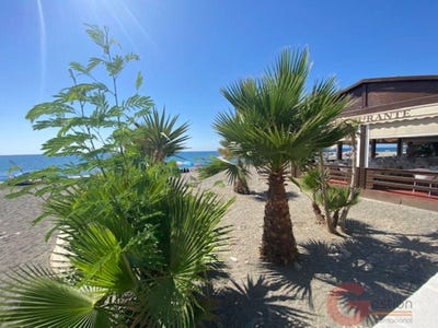 /international/es/polopos-andalusia-310100115571/