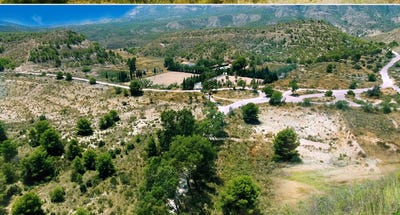 /international/es/elda-elda-valencian-community-310106387739/