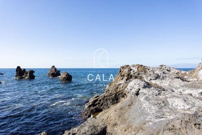 /international/es/puerto-de-santiago-canary-islands-310108525948/