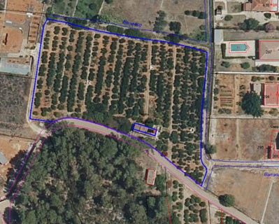 /international/es/cami-rural-rotova-palma-de-gandia-valencian-community-310108371174/
