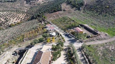/international/es/osuna-andalusia-310099806604/?lang=zh-cn