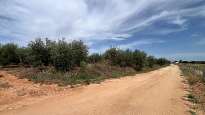 /international/es/pilas-andalusia-310108401319/