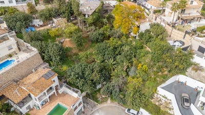 /international/es/fuengirola-andalusia-310105991358/