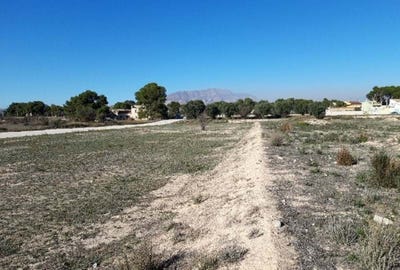 /international/es/monforte-del-cid-valencian-community-310101352389/?lang=zh-tw