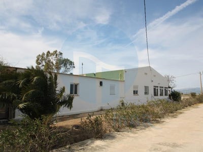 /international/es/deltebre-catalonia-310098730776/