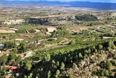 /international/es/fassicampo-belgida-valencian-community-310108809075/