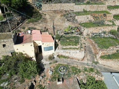 /international/es/guimar-canary-islands-310101078568/?lang=fr