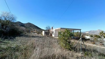 /international/es/hondon-de-los-frailes-valencian-community-310101515386/