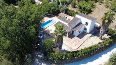 /international/es/coin-andalusia-310108327946/