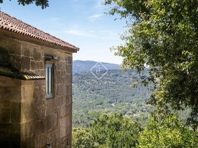 /international/es/boboras-carballino-galicia-310093897924/