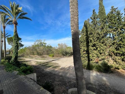 /international/es/22-avinguda-de-les-palmeres-ses-palmeres-balearic-islands-310101733394/