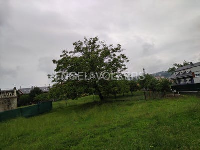 /international/es/pielagos-cantabria-310100637269/