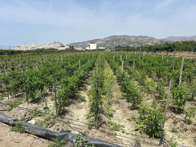 /international/es/salobrena-andalusia-310109044816/
