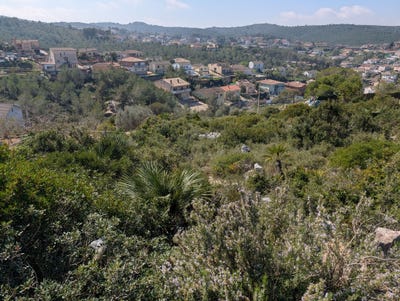 /international/es/carrer-de-la-figuera-olerdola-catalonia-310110347429/