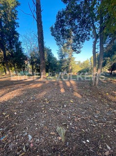 /international/es/sant-cugat-del-valles-catalonia-310094935604/