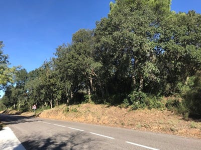 /international/es/calonge-catalonia-310100645599/