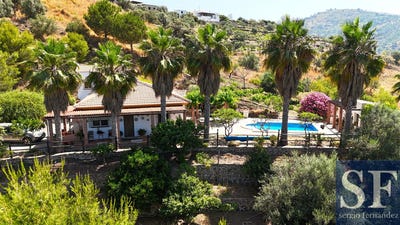 /international/es/sayalonga-andalusia-310108792766/