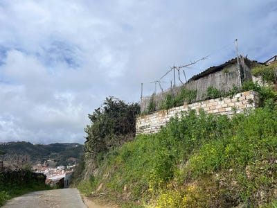 /international/es/camino-de-la-sierra-15-galaroza-andalusia-310105538283/