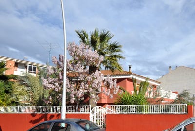 /international/es/sax-valencian-community-310108996972/