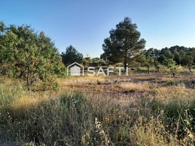 /international/es/cehegin-region-of-murcia-310105744886/